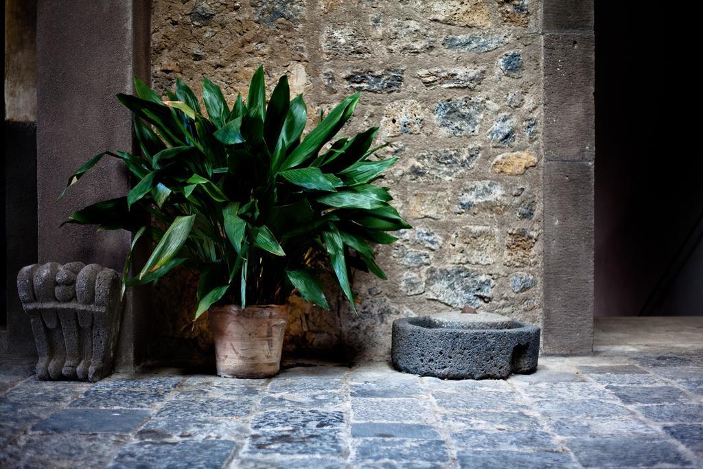 Casa La Carrubbazza Hotel San Gregorio di Catania Kültér fotó